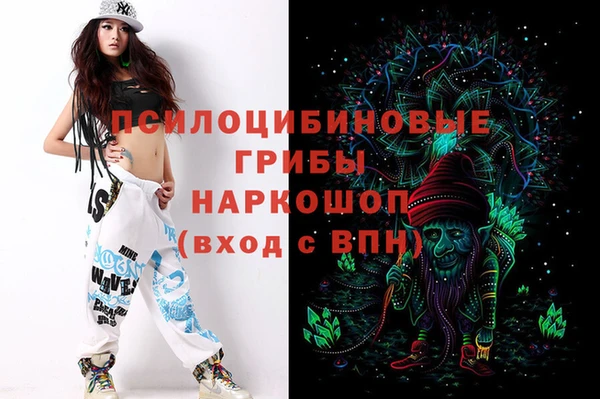 дурь Алексеевка