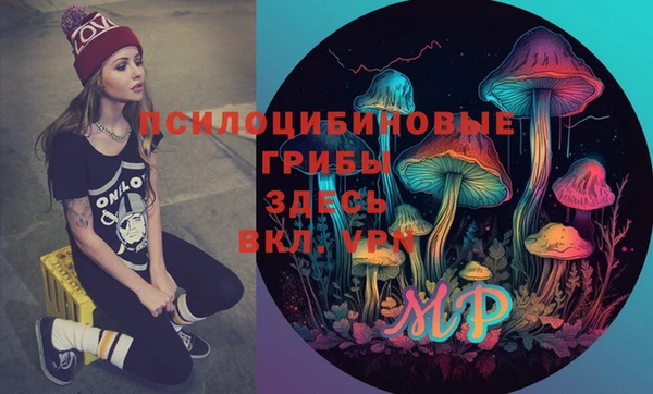 дурь Алексеевка