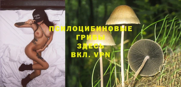дурь Алексеевка