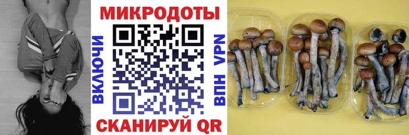 где купить   Кыштым  Галлюциногенные грибы мухоморы 